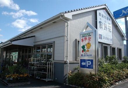 農協市場館 農野花の写真
