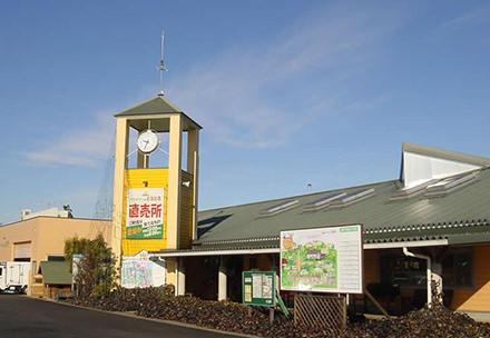 ポケットファームどきどき　茨城町店の写真