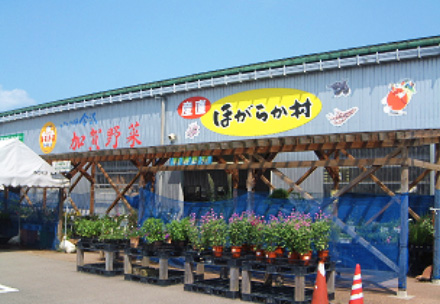 ほがらか村　本店