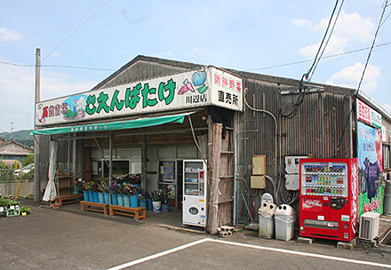百姓市場 さえんばたけ 川辺店