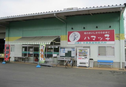 「ハマッ子」直売所　横浜青葉インター店