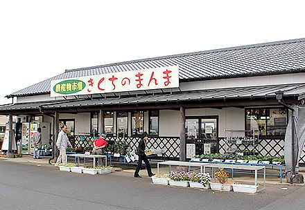 きくちのまんま菊池店