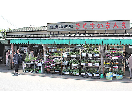 きくちのまんま菊陽店