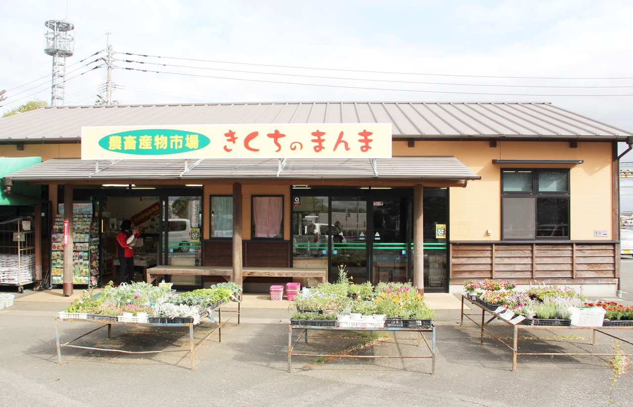 きくちのまんま合志店