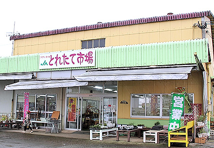 大津とれたて市場の写真
