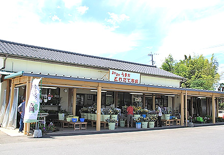 よかよかうまか生産物直売所とれたて市場嘉島店