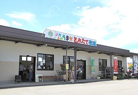 よかよかうまか生産物直売所とれたて市場益城店
