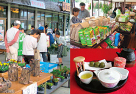 農産物直売所田原店　「宇治茶の郷」