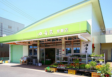 四季菜　常磐店