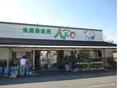 八菜館（かどかわ店）