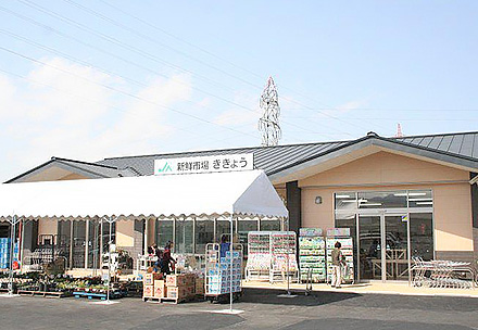 新鮮市場ききょうの写真