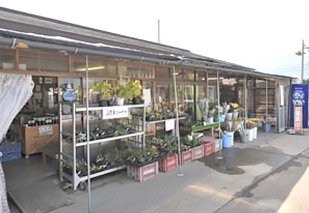 アルプス１番松川農産物直売所の写真