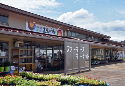 産直市場五島がうまい
