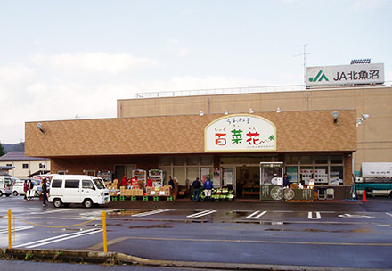 うおぬま百菜花ん