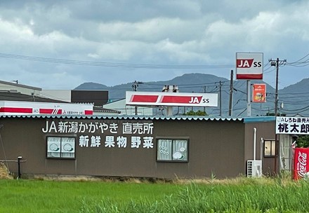 23_6