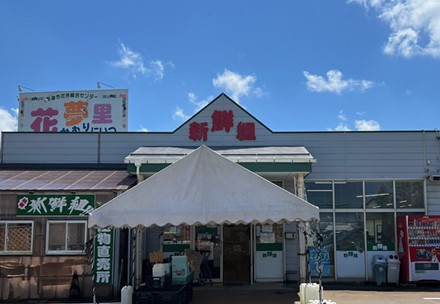 新鮮組の写真