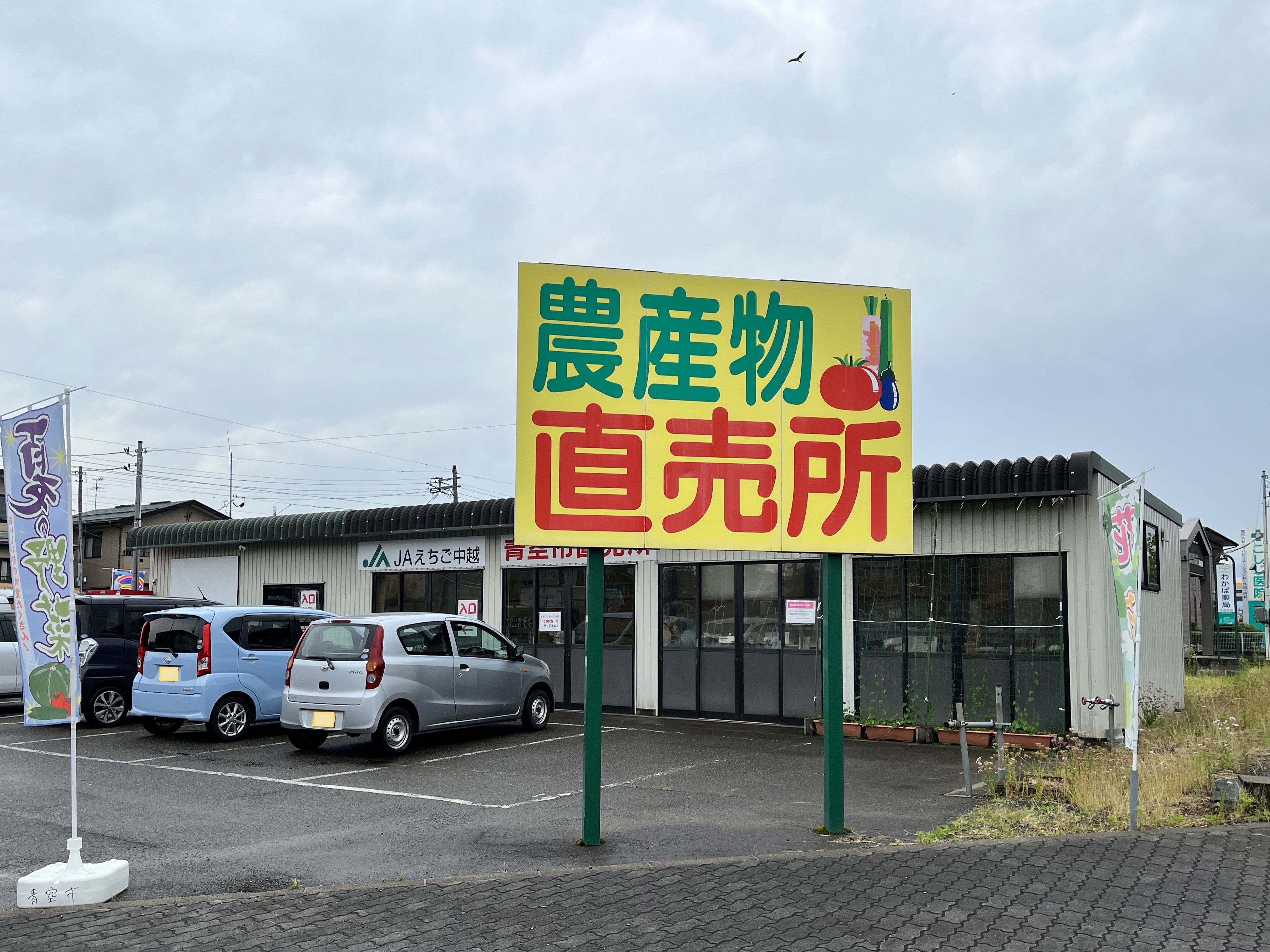 こしじ青空市