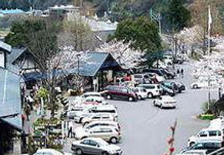 木の花ガルテン大山店