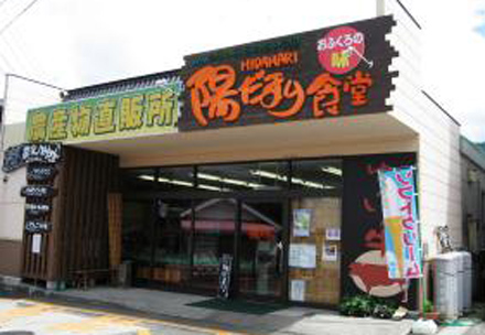 陽だまり