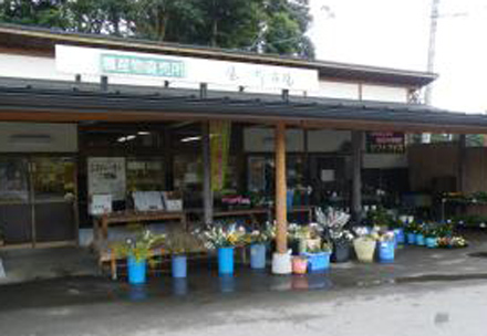 風の郷市場