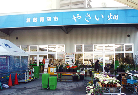 倉敷青空市「やさい畑」