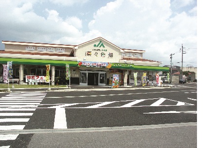 ＪＡおきなわ食菜館　菜々色畑
