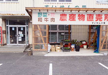 すいせんの里