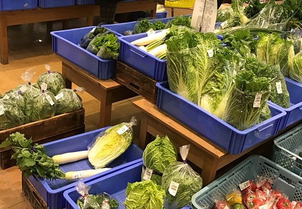 ラピタひらた店
