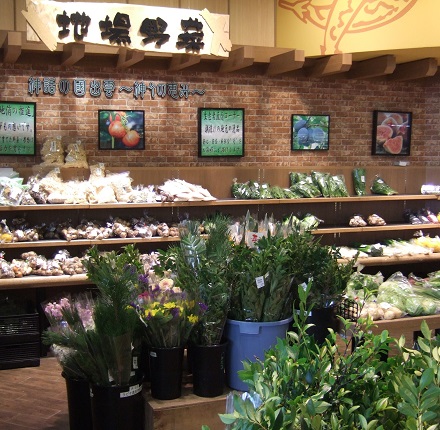 ラピタみなみ店