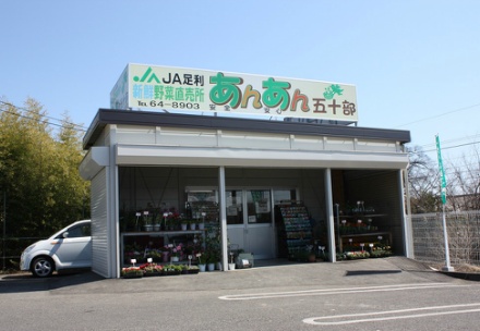 あんあん五十部