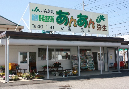 あんあん弥生