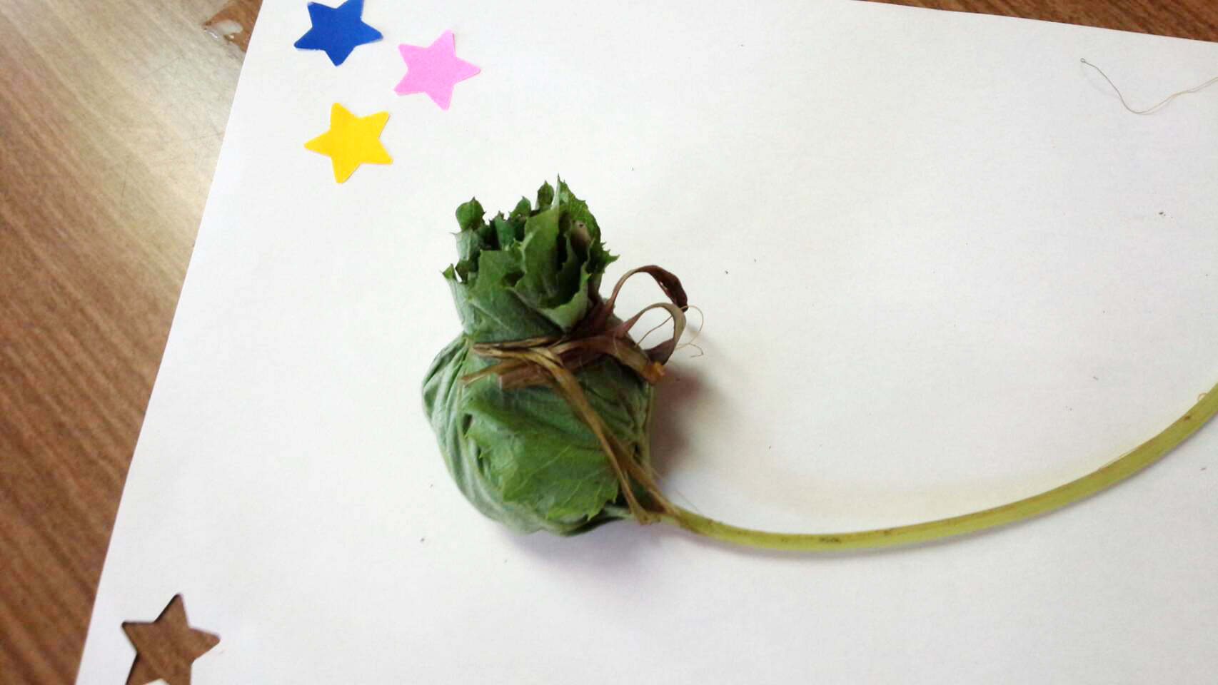 三重県「ふきだわら」ＪＡいがほくぶの写真