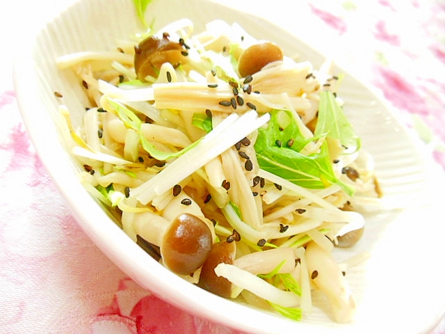 ❤シメジとエノキともやしと水菜のとりあえず❤