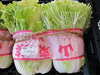 山東菜