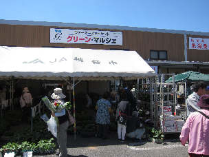 おすすめポイント