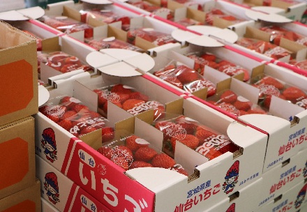 おすすめポイント