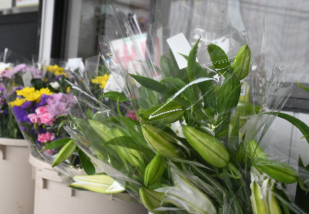 おすすめポイント