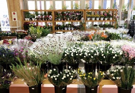 おすすめポイント