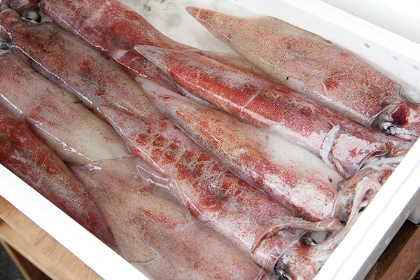 新鮮な魚介類