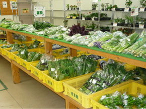 農家直送の新鮮な野菜