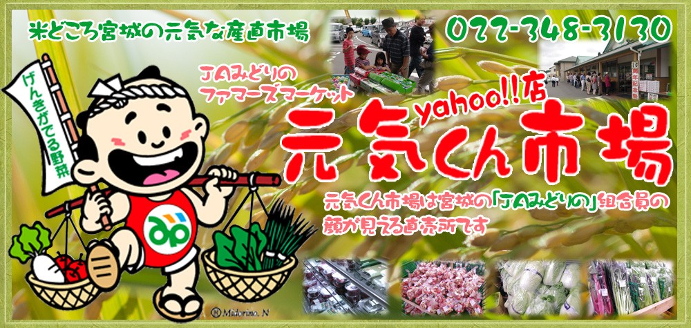 元気くん市場yahoo!店