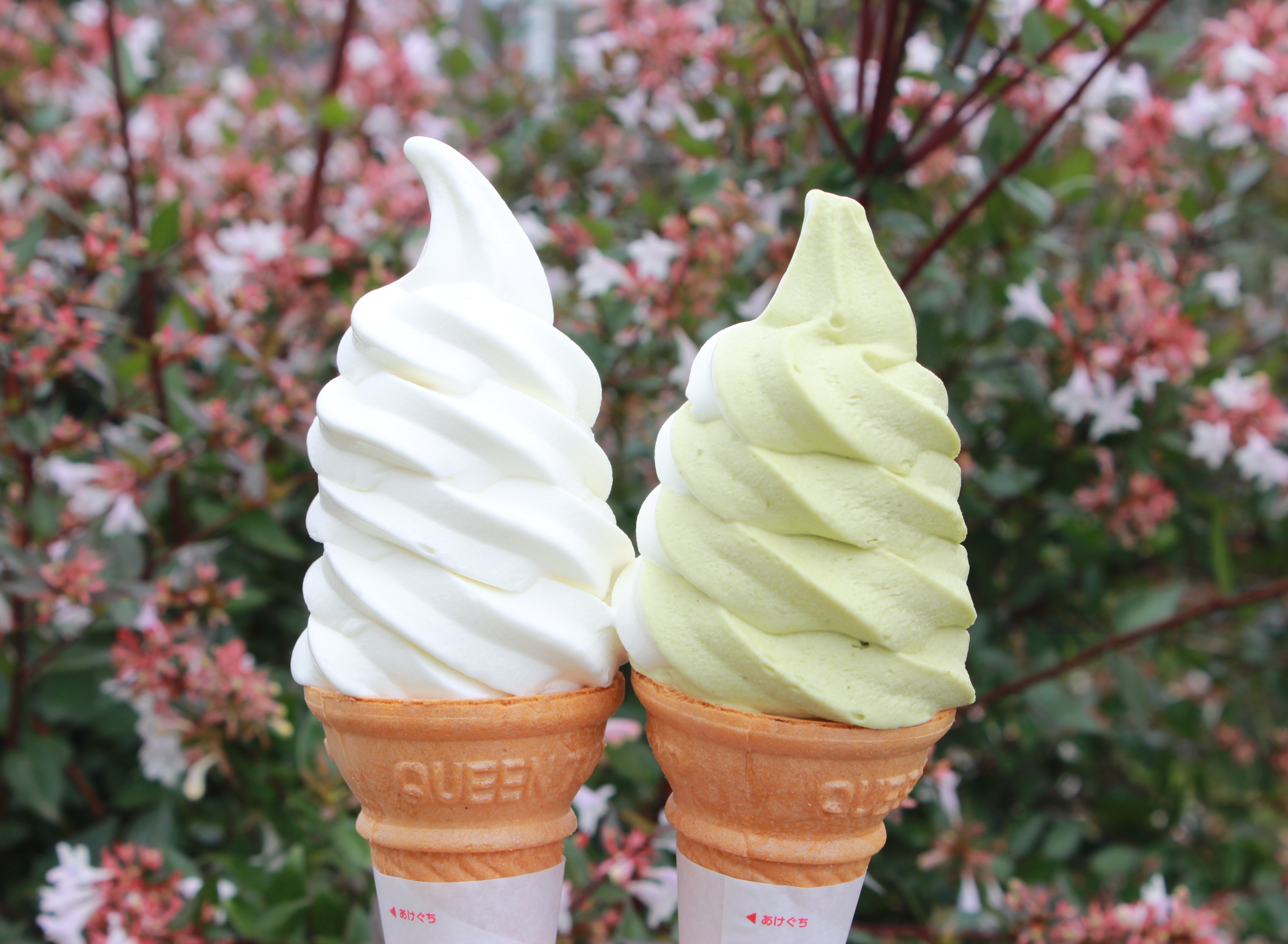 ソフトクリーム