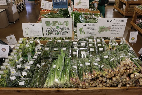 山菜
